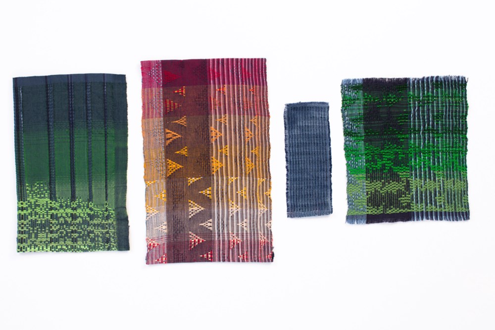 שביט מונדר( צילום: אחיקם בן יוסף)